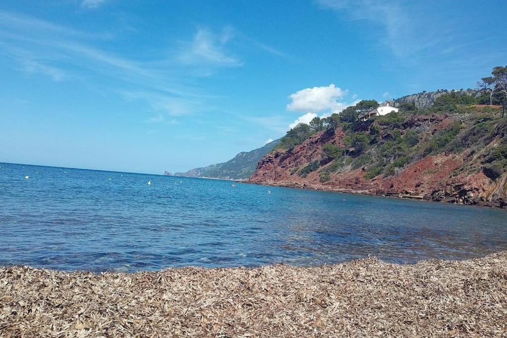En Lugar Tranquilo Alejado De Zonas Turisticas Villa Banyalbufar Eksteriør billede
